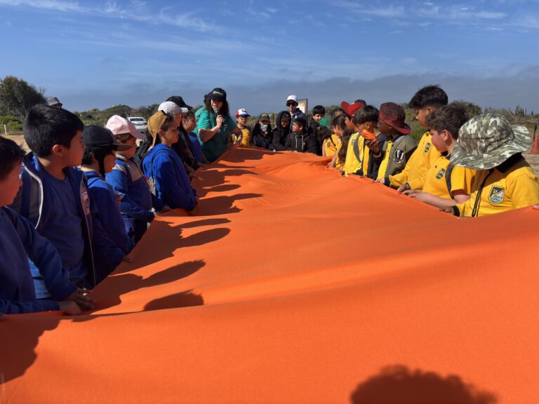 Cactus chilenito: Estudiantes de Los Molles y Pichidangui aprenden a conservar especie única en el mundo y En Peligro Crítico de Extinción junto al Zoo Nacional